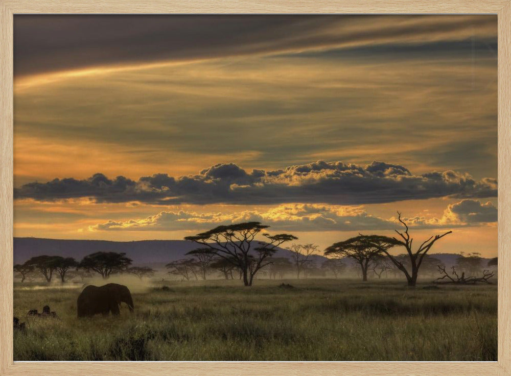 Afrika | Poster