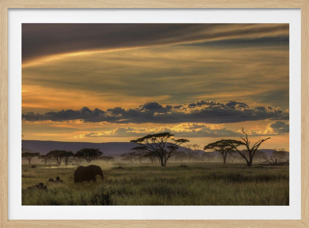 Afrika | Poster