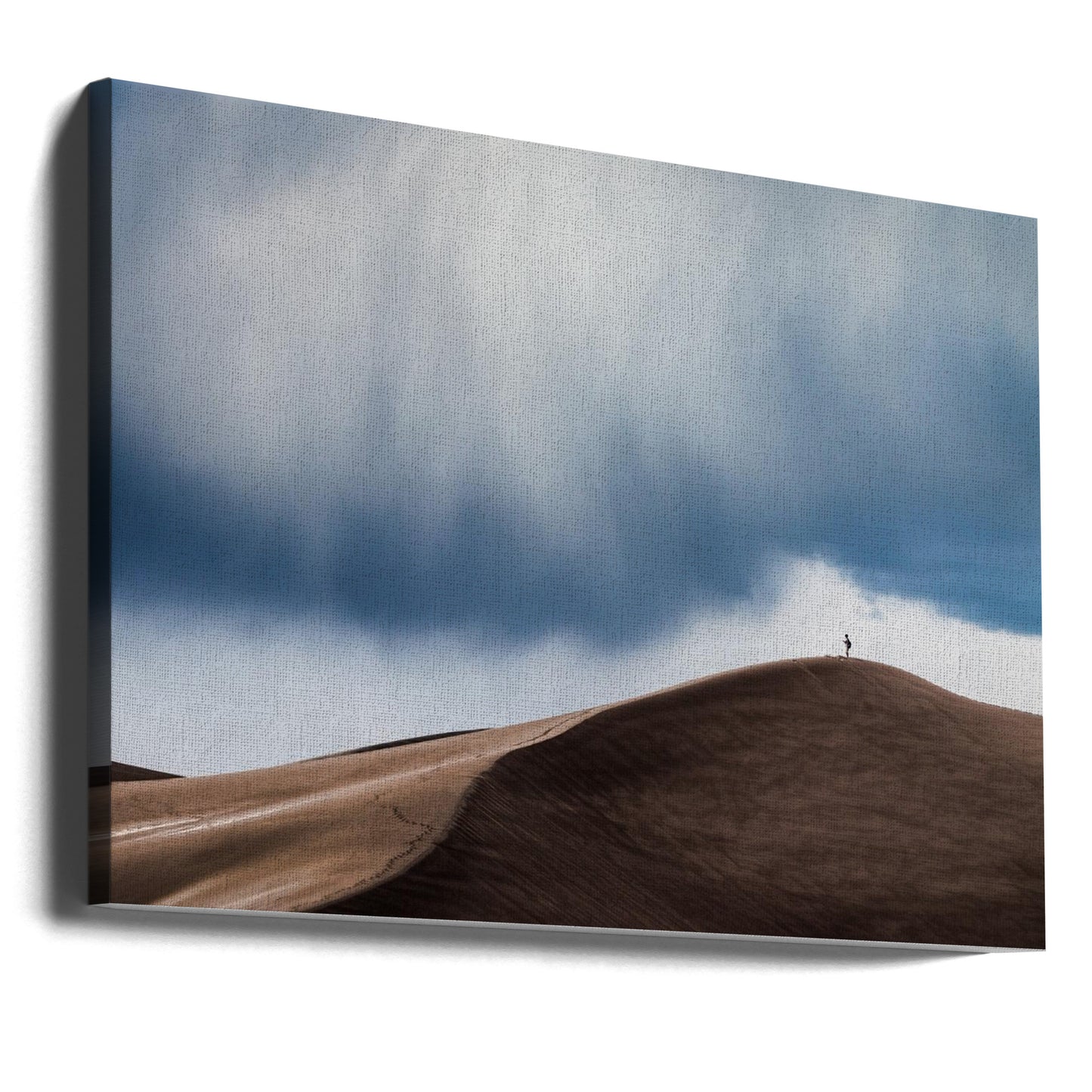 Chasseur d'orages | Tableaux sur Toile