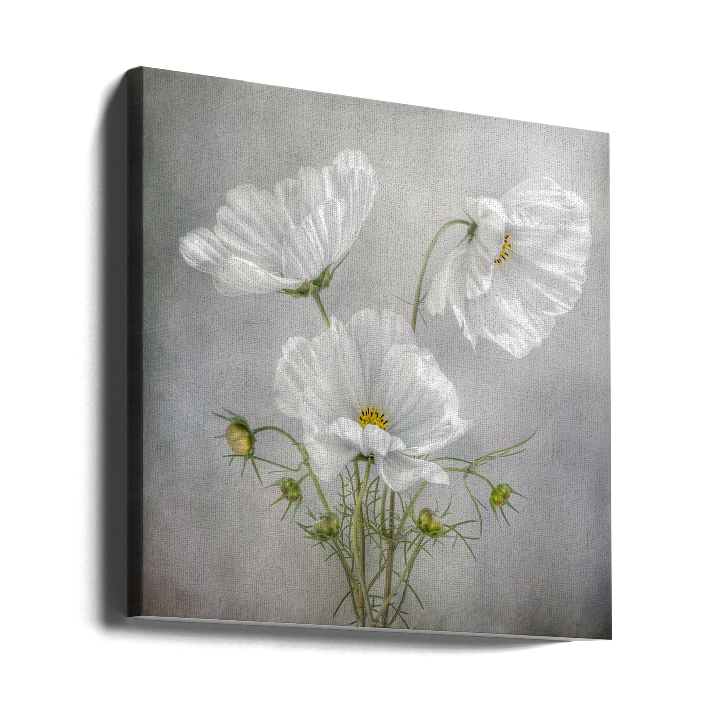 Kosmosberlock | Canvas