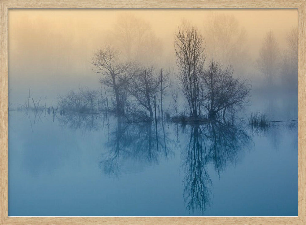 Morgonreflektion | Poster