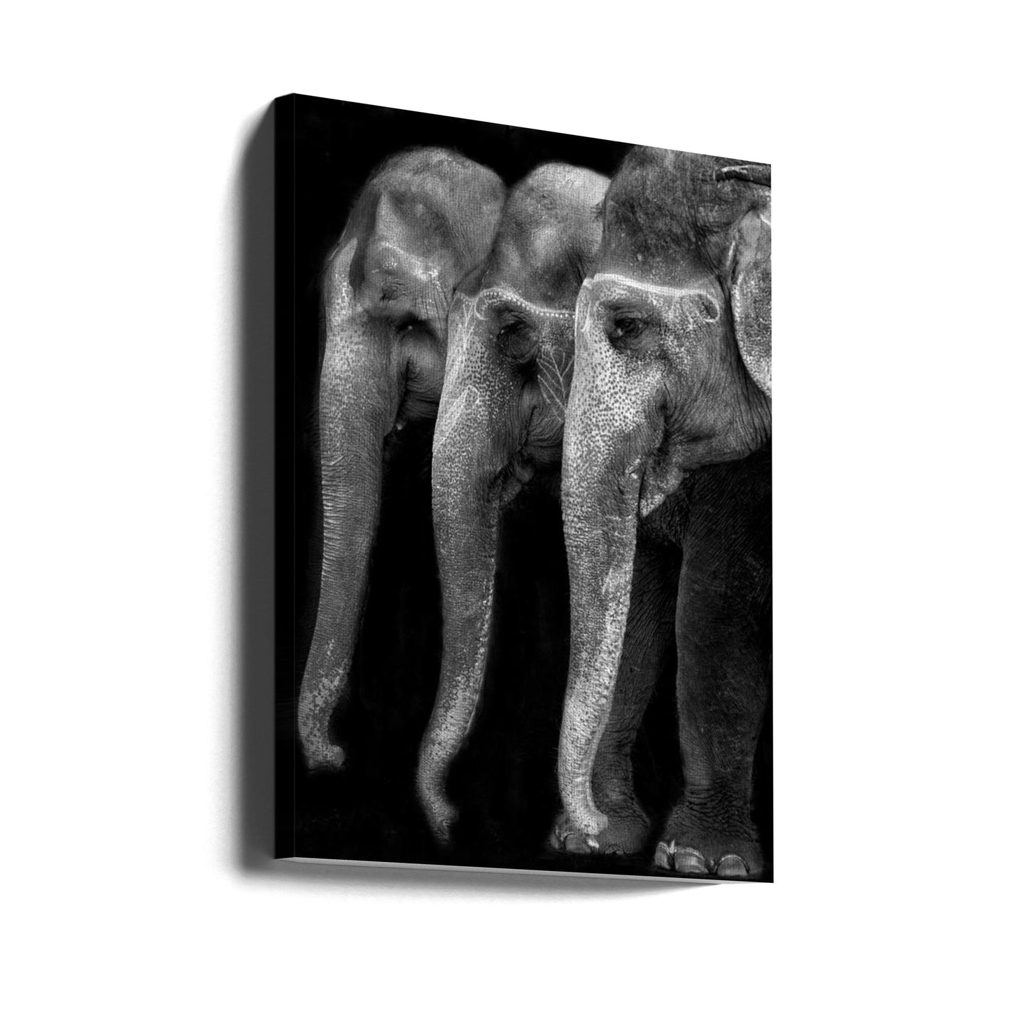 Le grand chef-d'œuvre de la nature, un éléphant ; la seule grande chose inoffensive. . . | Tableaux sur Toile