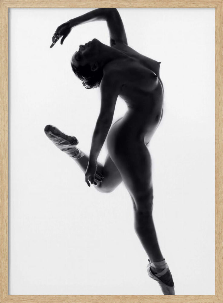 Fine Art Dance ... | Poster