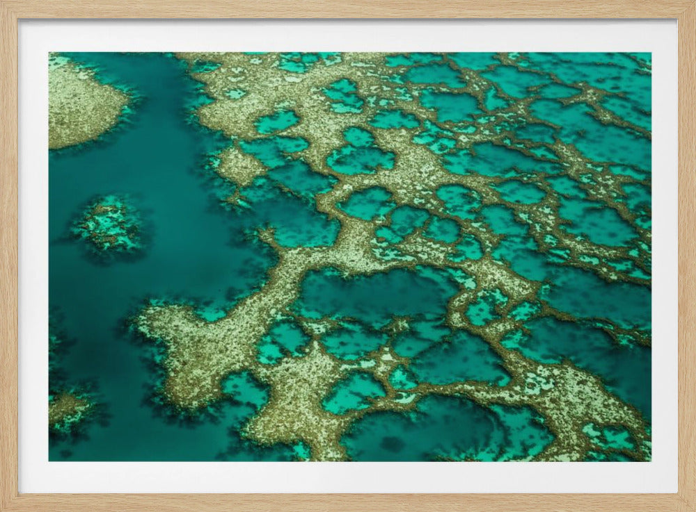 Gondwana | Posters - Affiche Artistique
