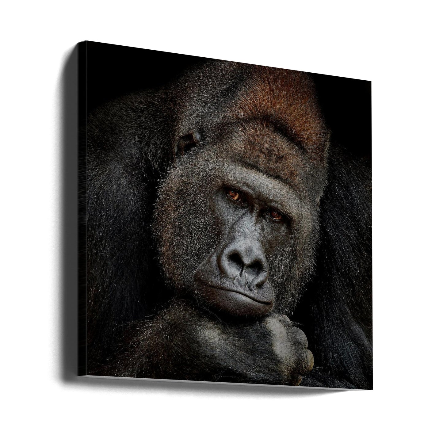 EEN MOMENT IN CONTACT | Canvasprints