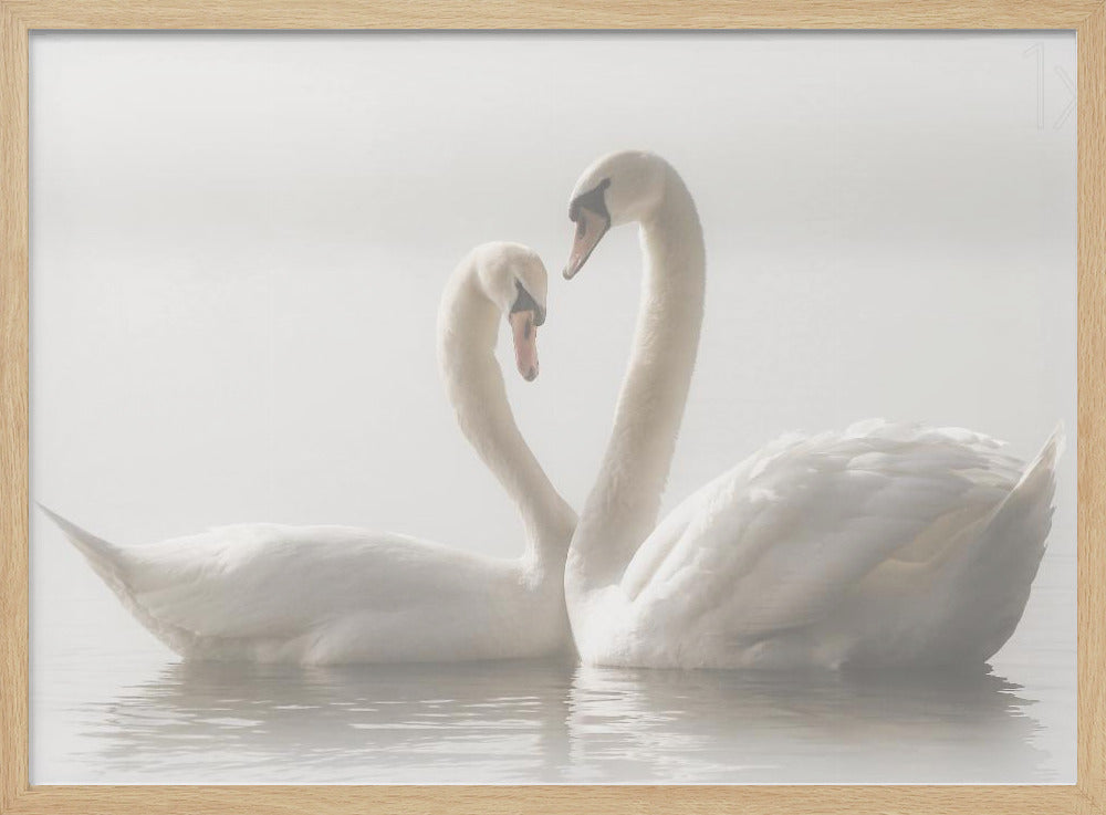 Per sempre | Poster - Stampe d’Arte