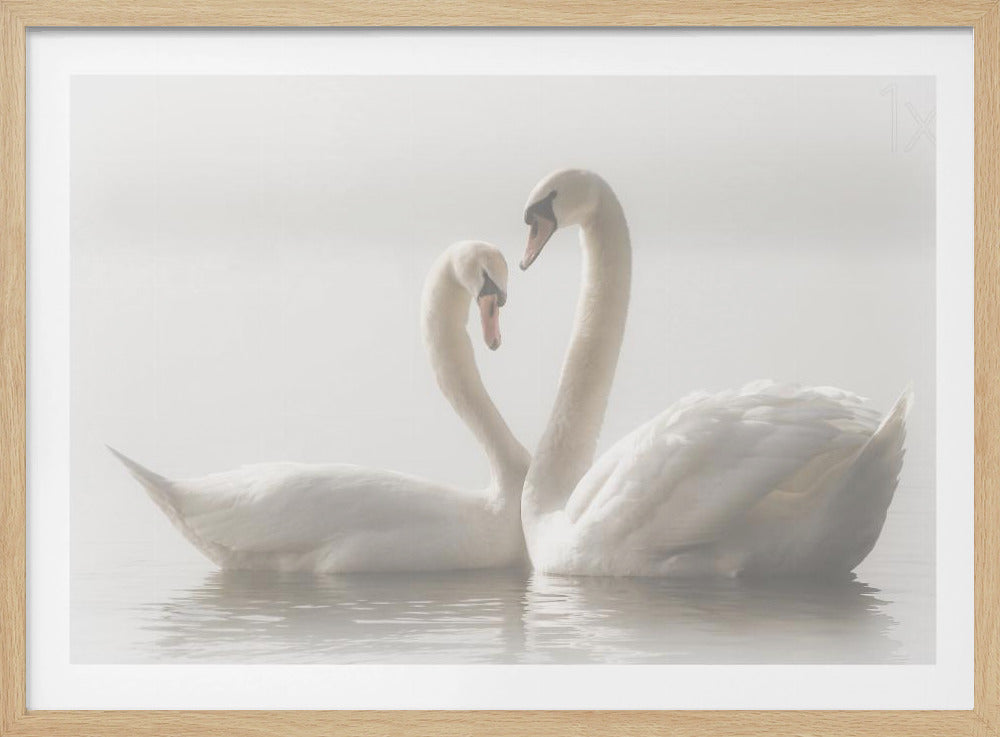 Per sempre | Poster - Stampe d’Arte