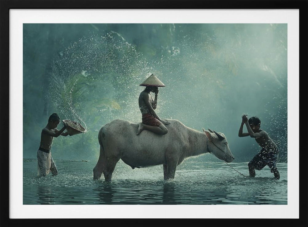 Waterbuffel | Posters - Kunstdrukken