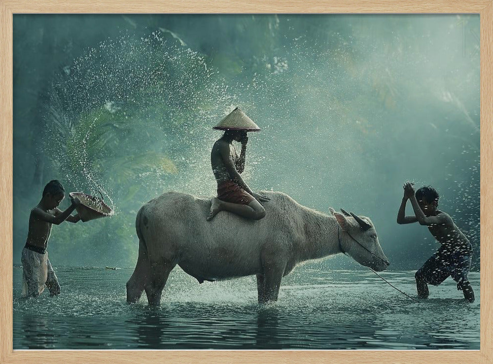 Waterbuffel | Posters - Kunstdrukken