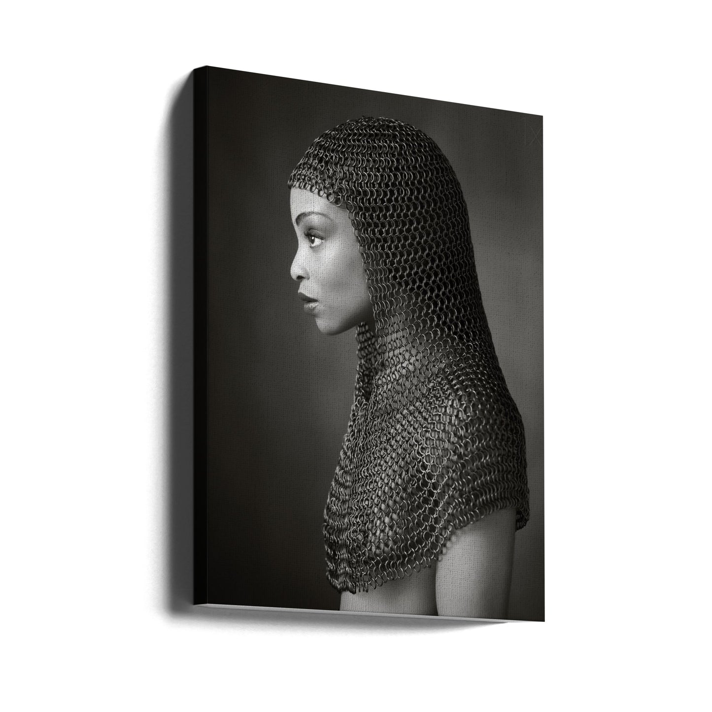 Lady Chainmail | Canvasprints