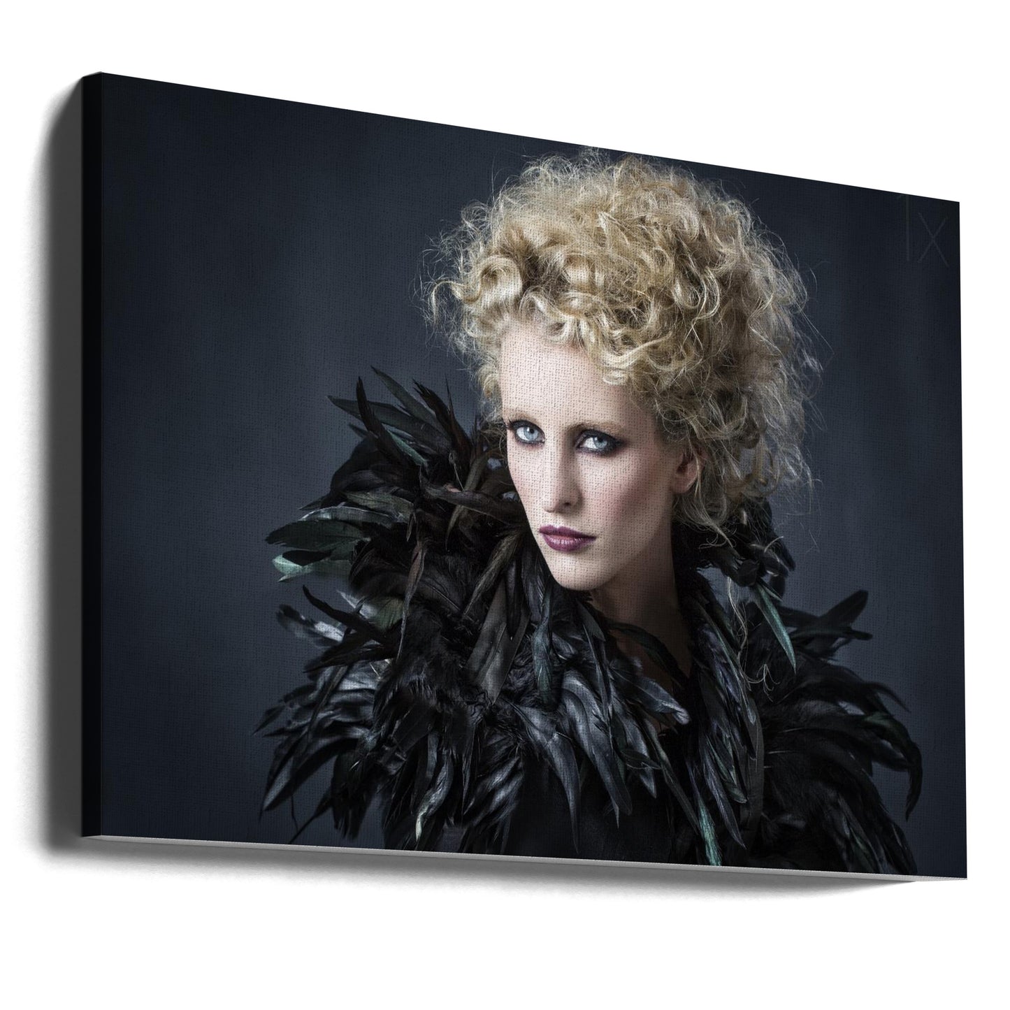 Gefiederter Fredau | Leinwand-Bilder