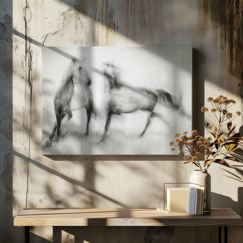 Frysninger | Lerretsbilder