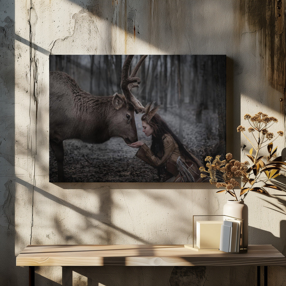 * | Canvas