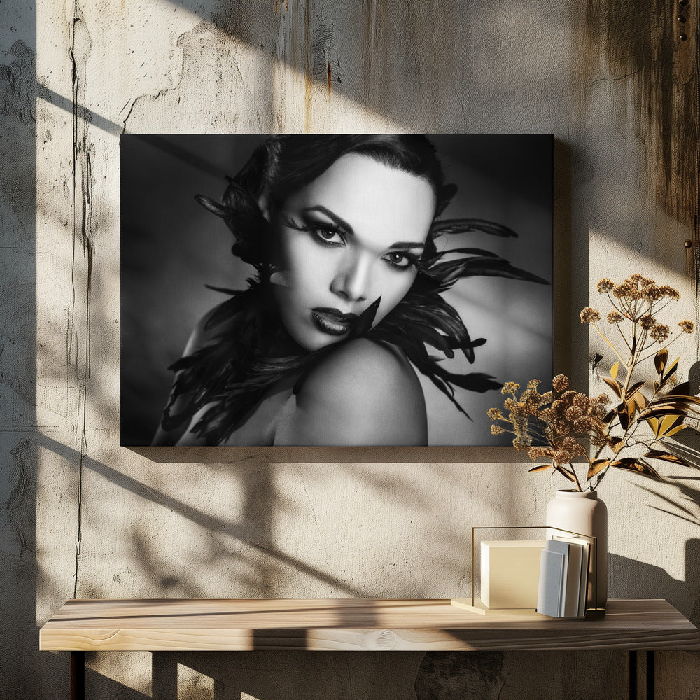 De zwarte veren | Canvasprints