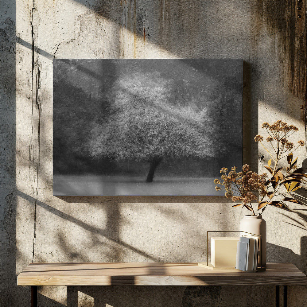 Trädmagi | Canvas