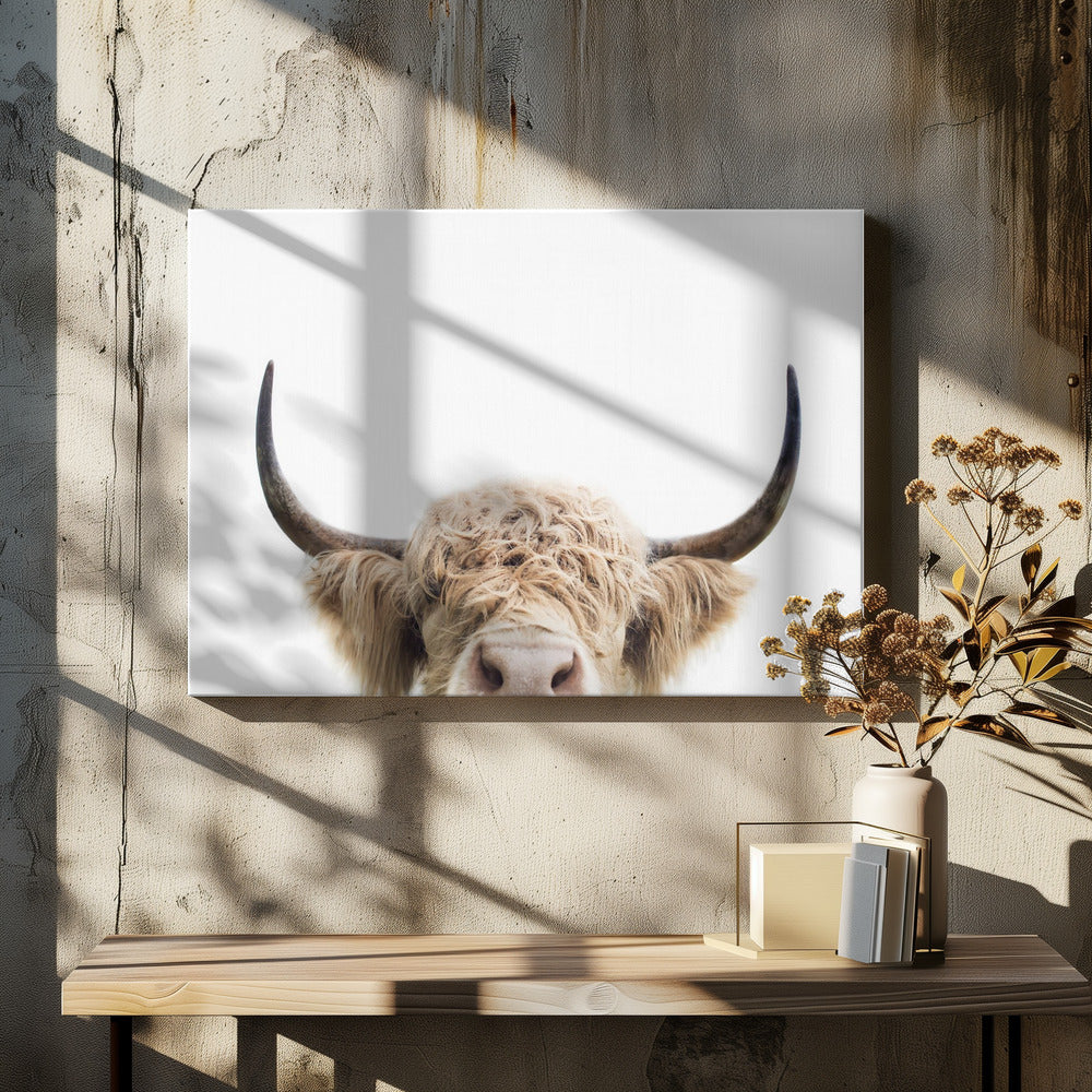 Mucca che sbircia | Stampe su Tela