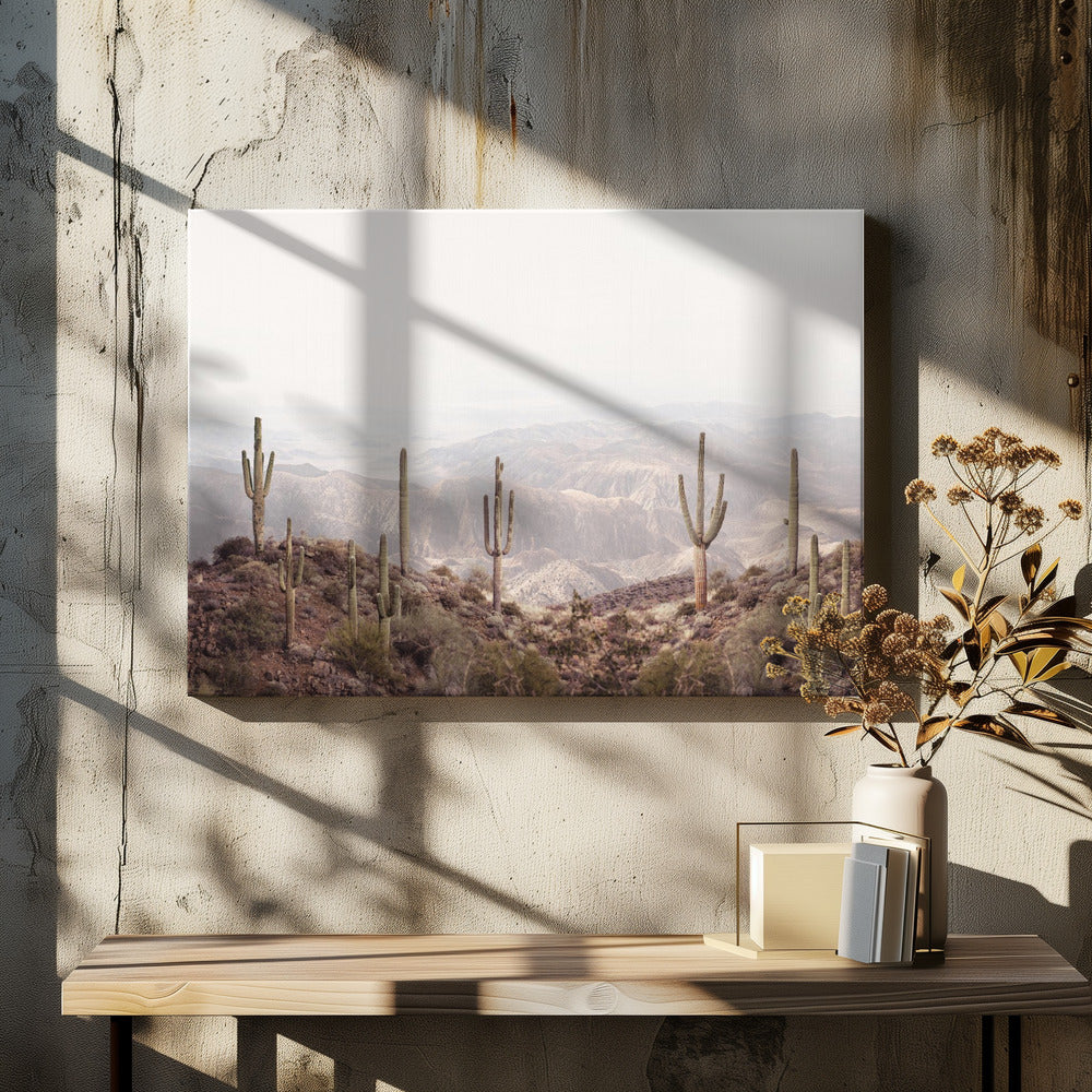 Valle dell'Arizona | Stampe su Tela