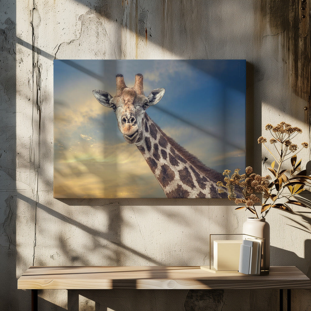 the friendly giant | Canvas