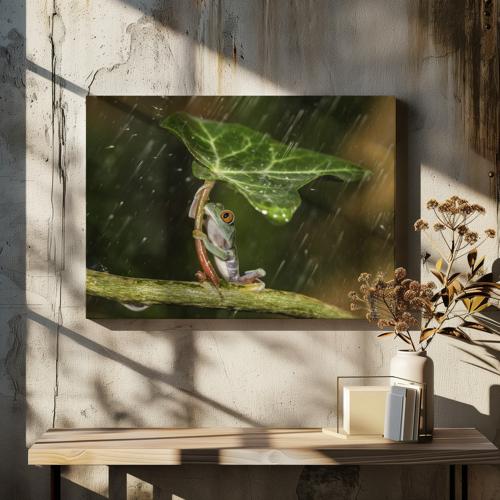 Oh nein :( Es regnet | Leinwand-Bilder