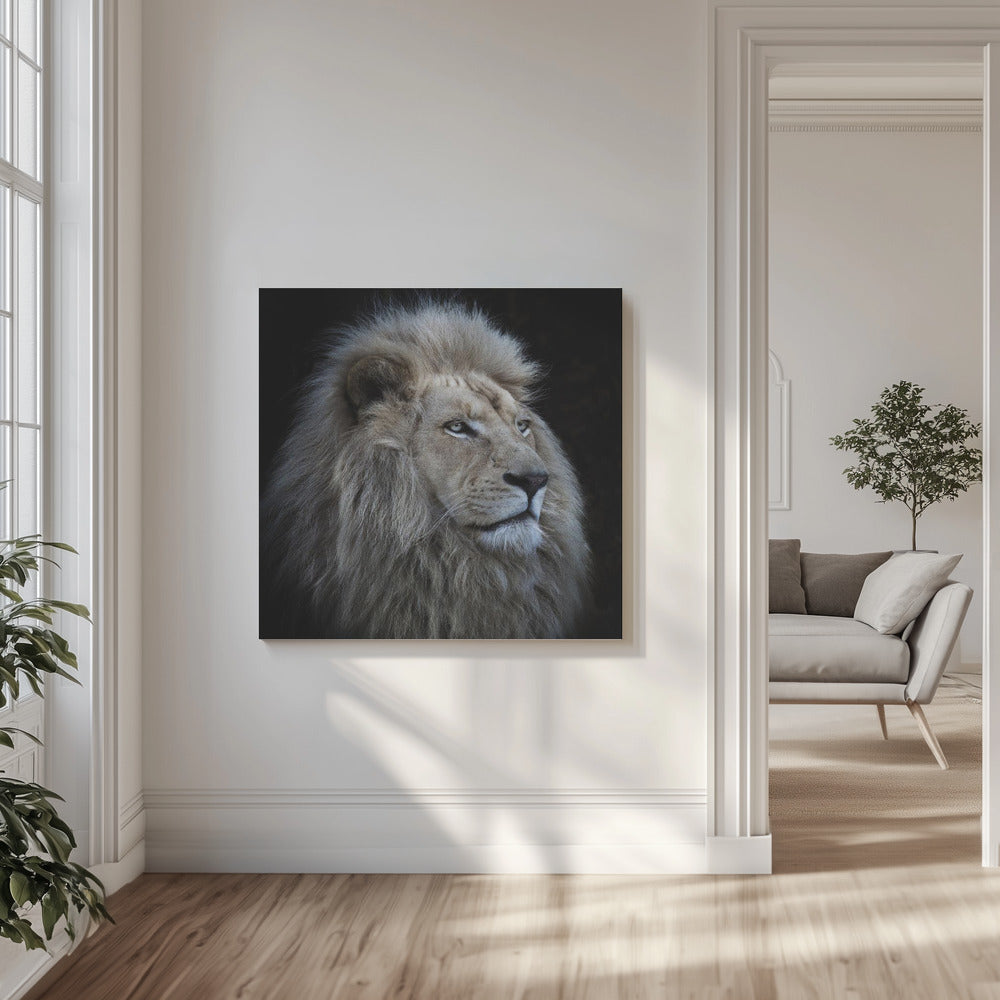 Stolt lejon | Canvas