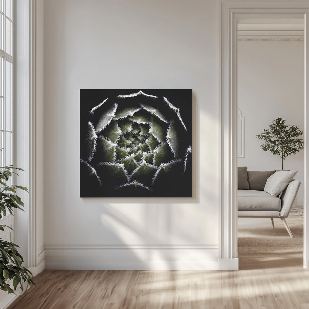 Sempervivum-Rosette | Leinwand-Bilder