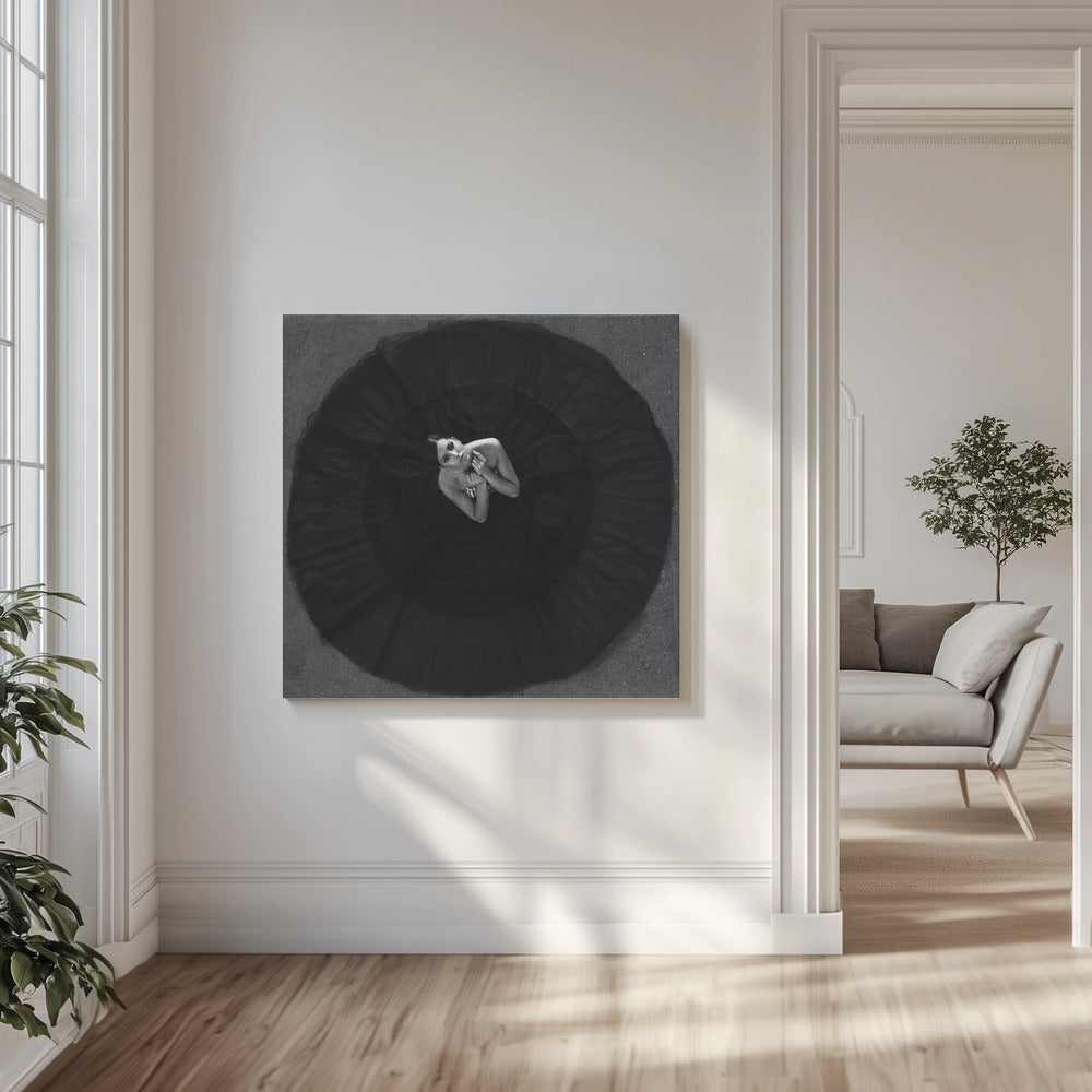 Zwarte zwaan | Canvasprints