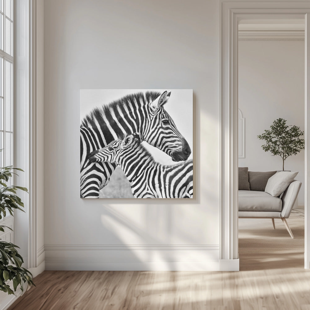 Amour | Tableaux sur Toile