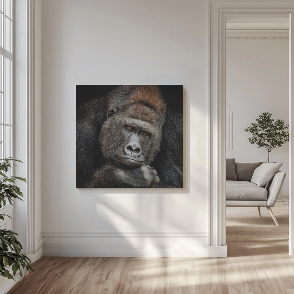 EEN MOMENT IN CONTACT | Canvasprints