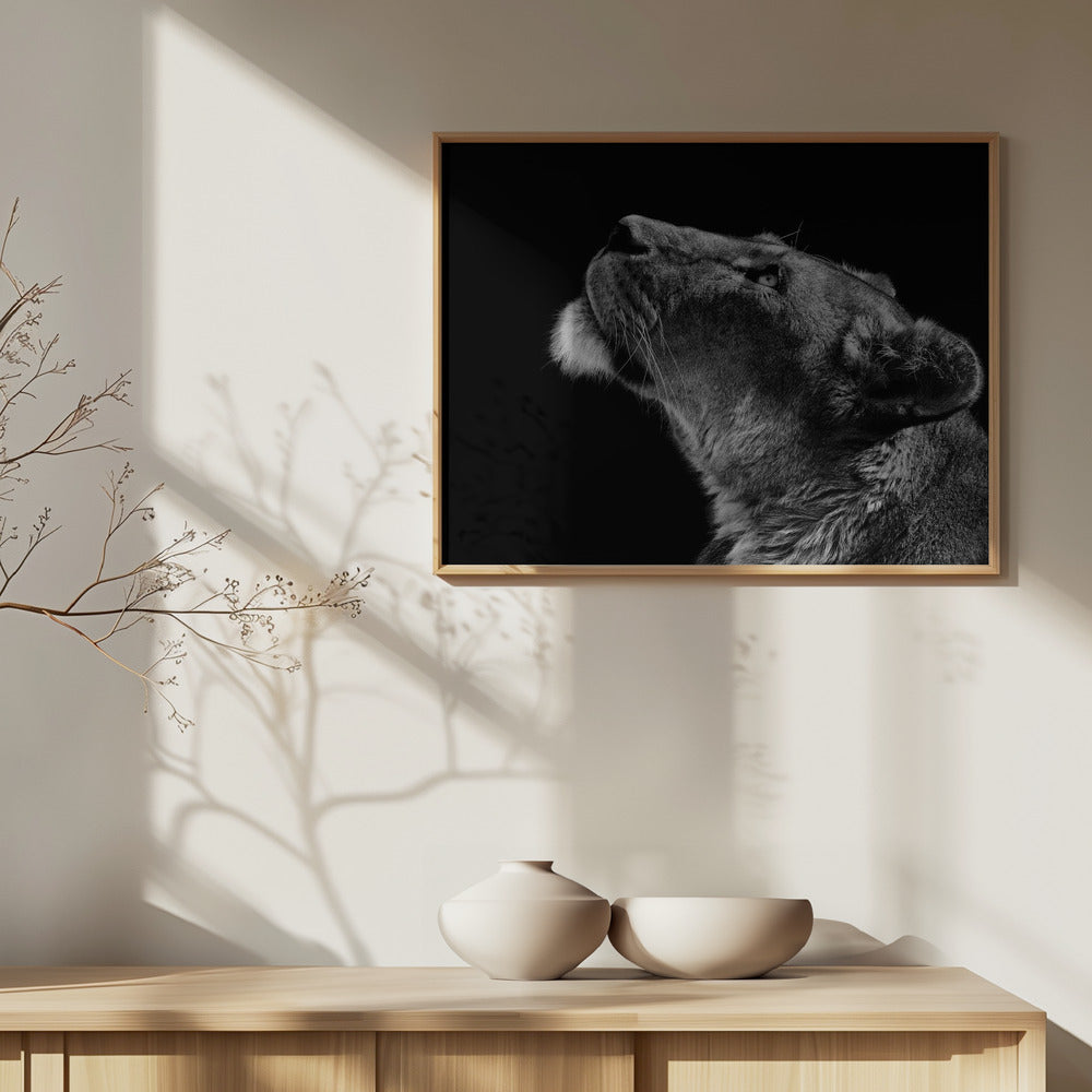 Tittar uppåt | Poster