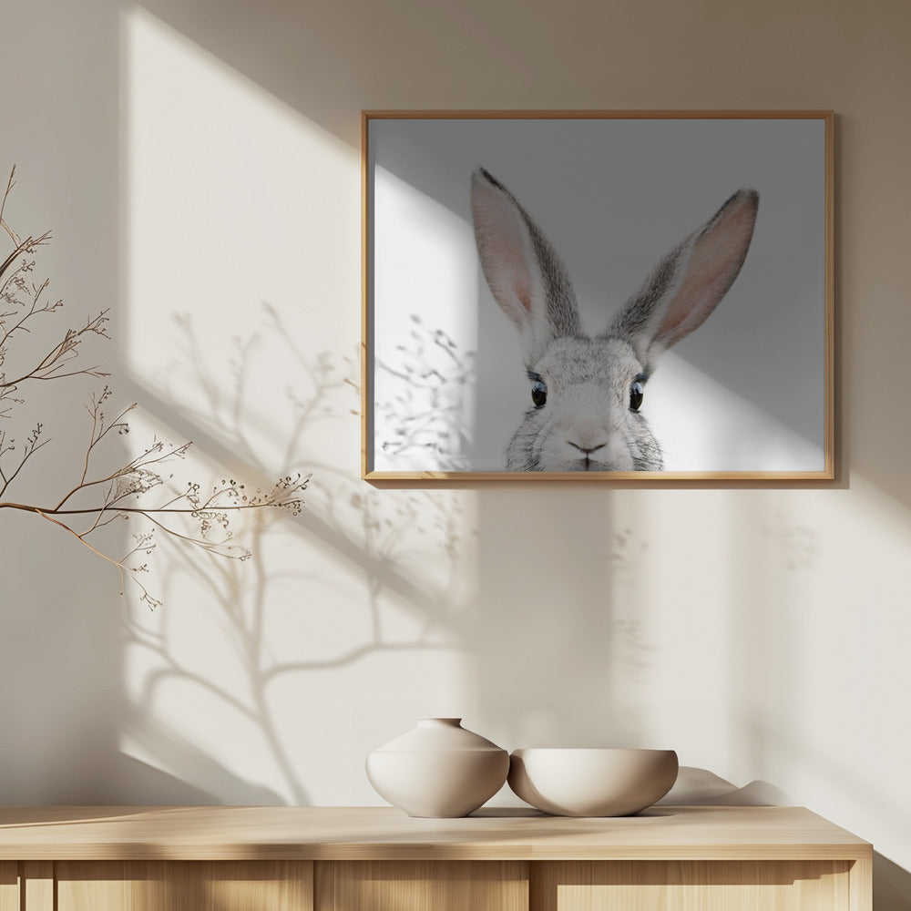 Glurende Konijn | Posters - Kunstdrukken