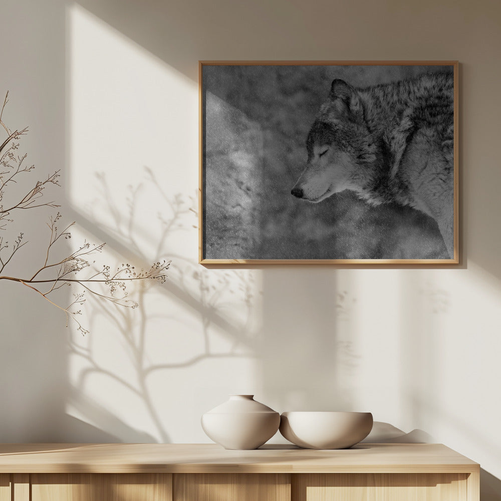 Lad det sne | Plakater - Kunsttryk
