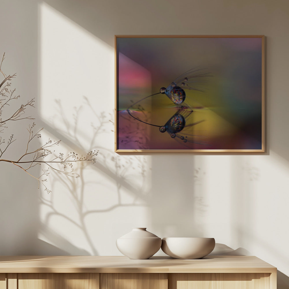 Kleur de duisternis | Posters - Kunstdrukken