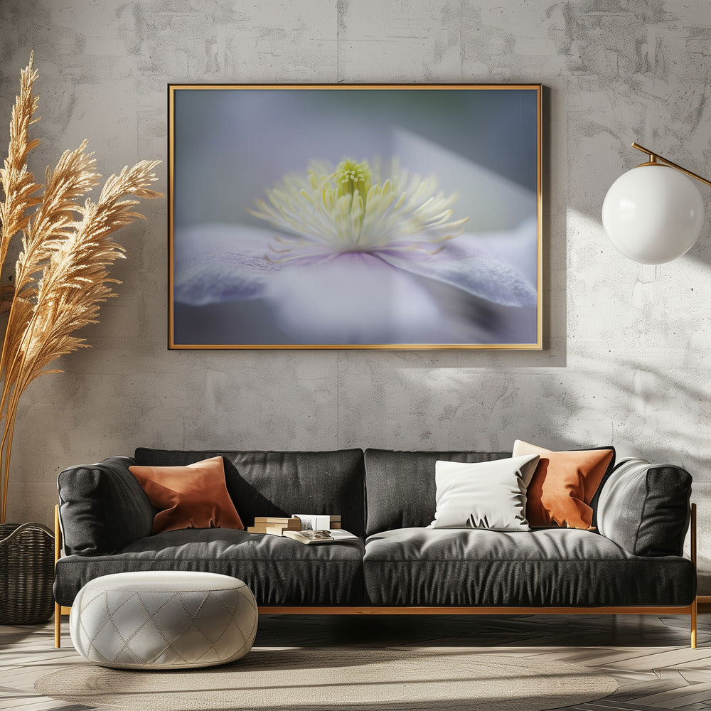 Mayleen | Posters - Affiche Artistique