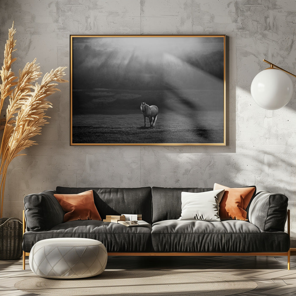 apparence matinale | Posters - Affiche Artistique