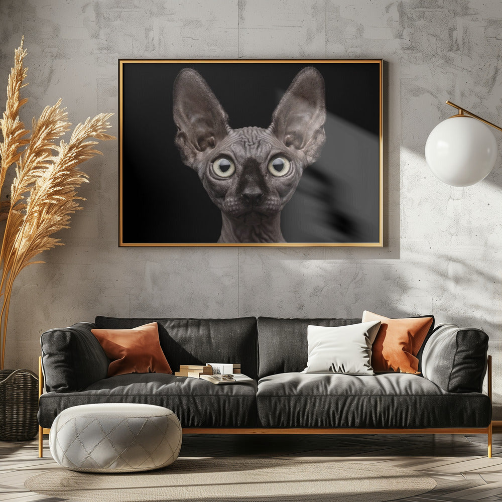 Sphynx kat | Posters - Kunstdrukken