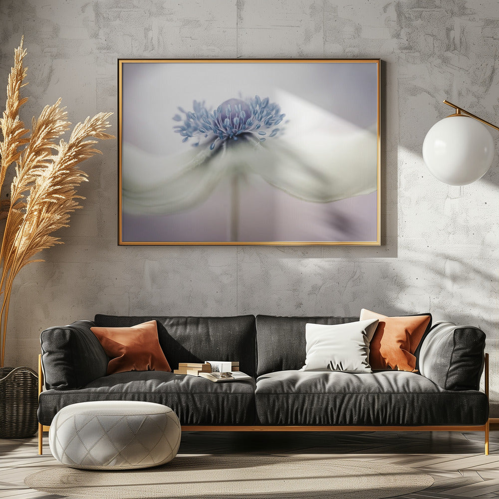 anemone | Poster - Stampe d’Arte