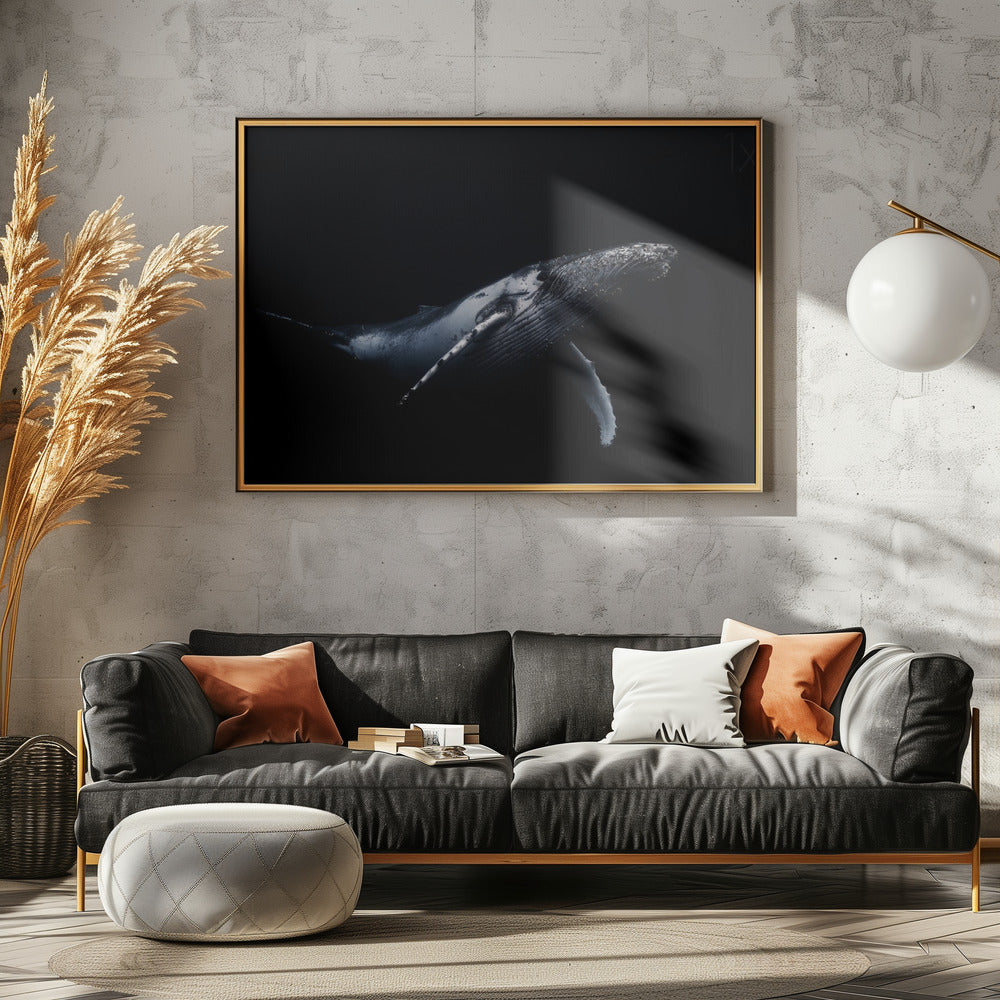 Schwarz & Wal | Poster - Kunstdruck