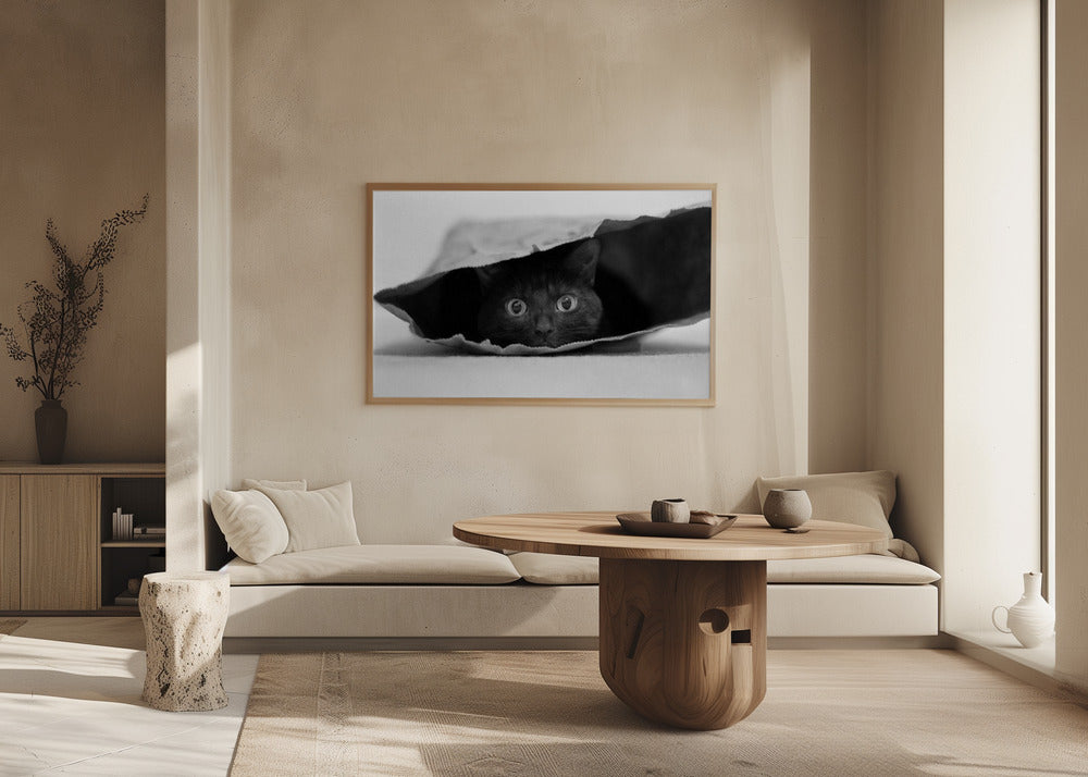Katze im Sack | Poster - Kunstdruck