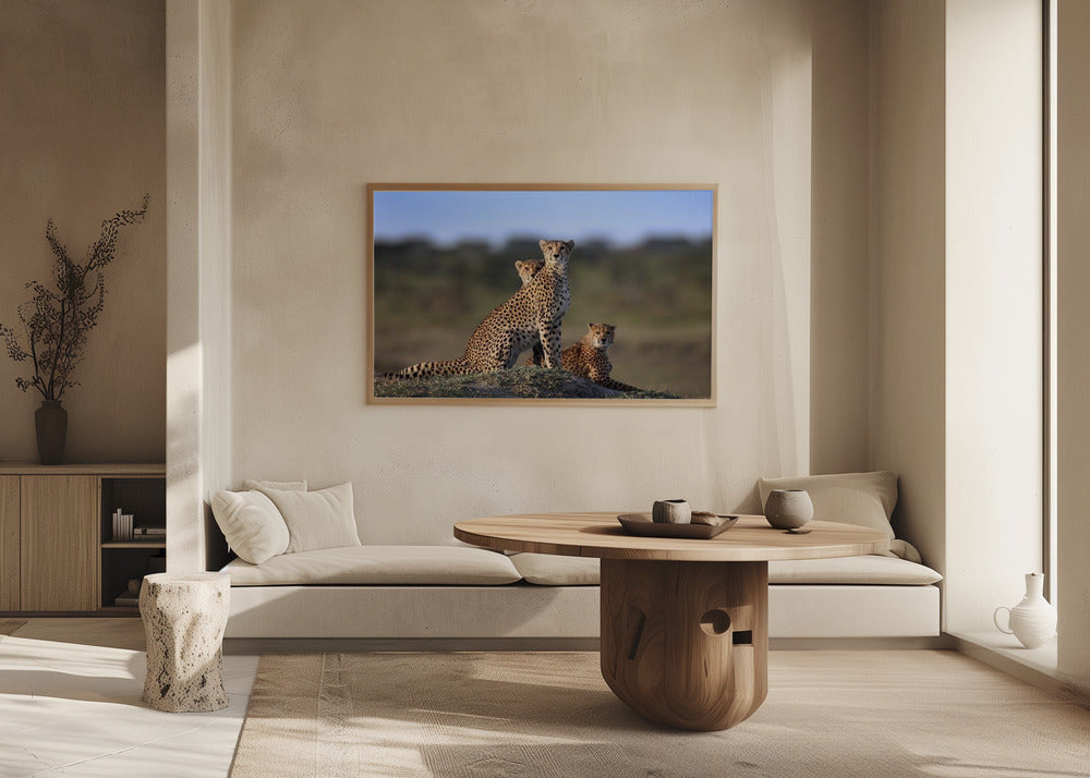 Geparder Familie | Plakater - Kunsttryk