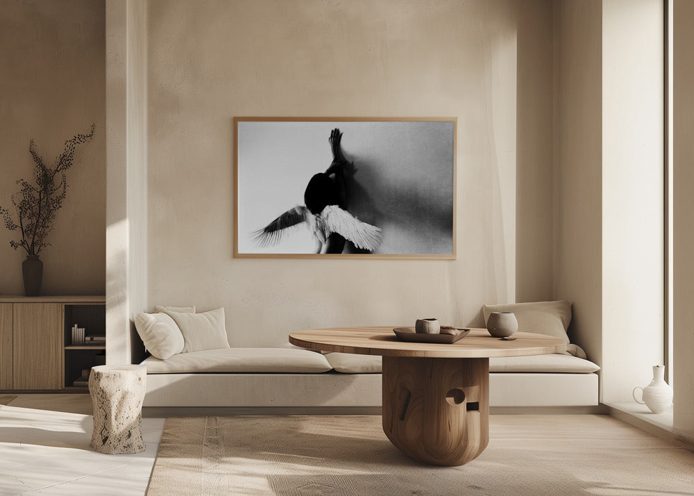 non volare | Poster - Stampe d’Arte