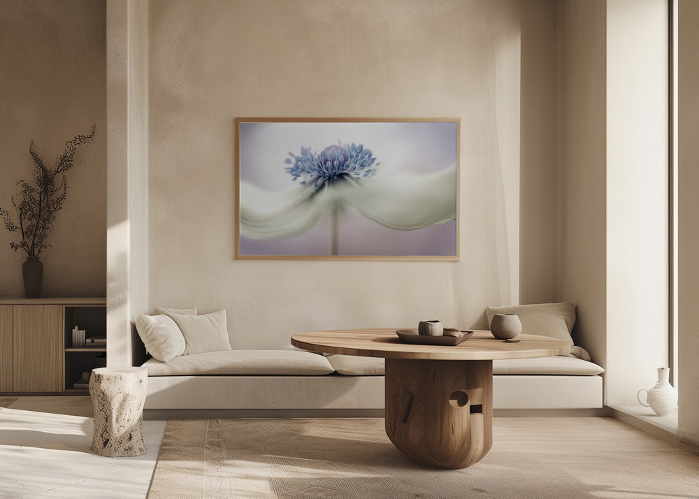 anemone | Poster - Stampe d’Arte