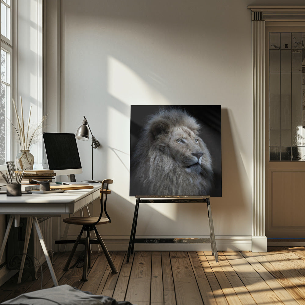 Stolt lejon | Canvas