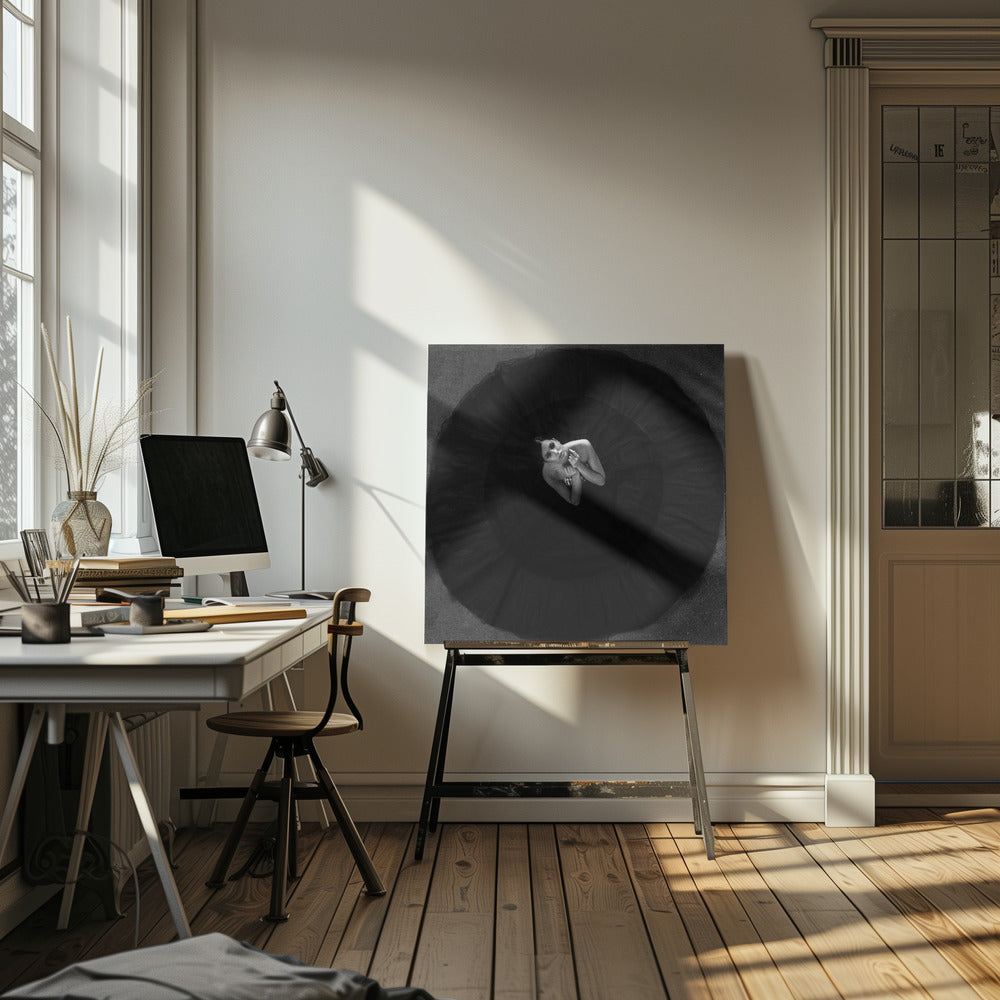 Zwarte zwaan | Canvasprints