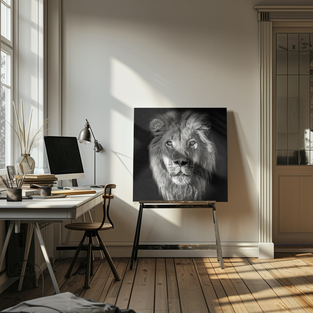 Lion Portrait- Panthera Leo | Canvas