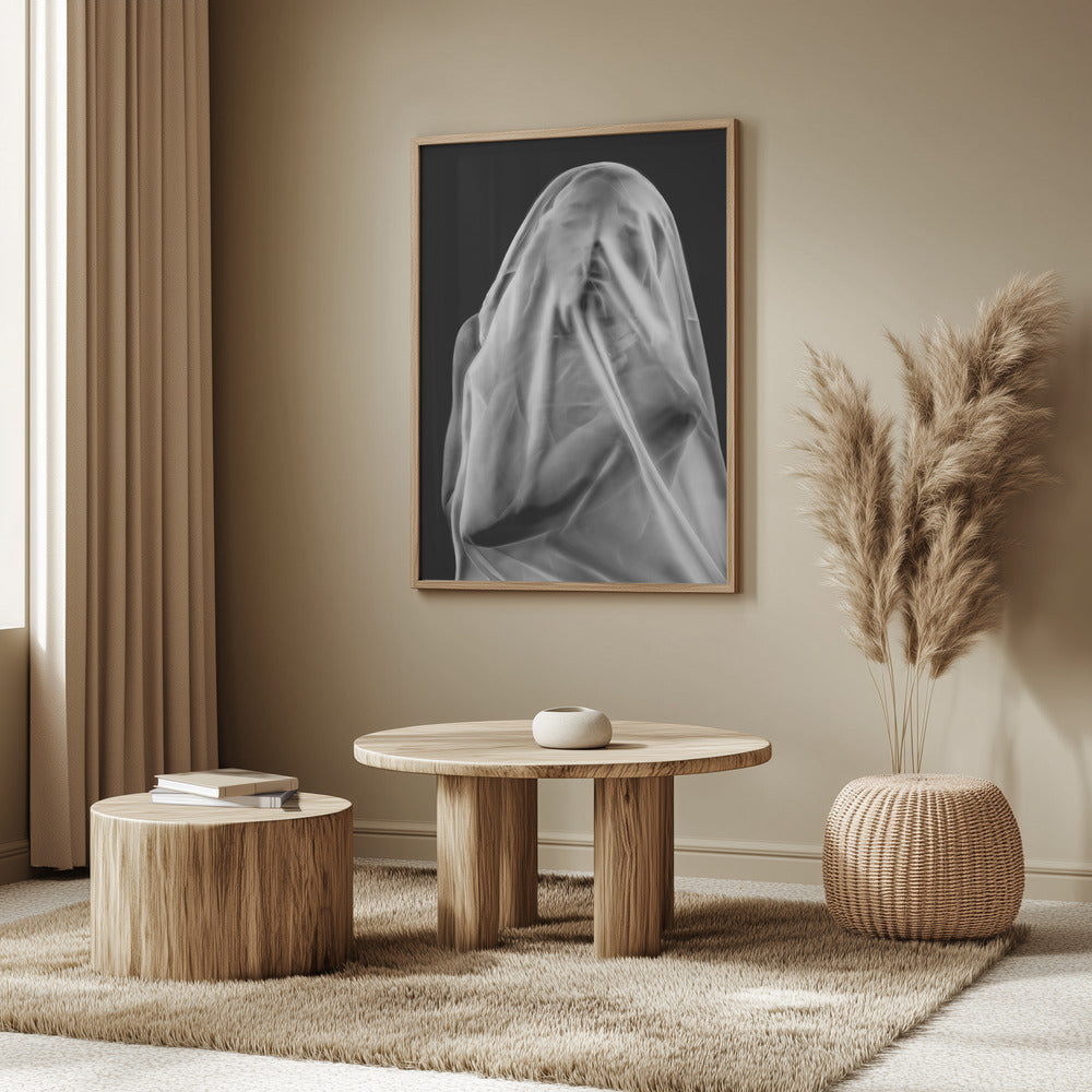 Life Behind the Veil | Poster