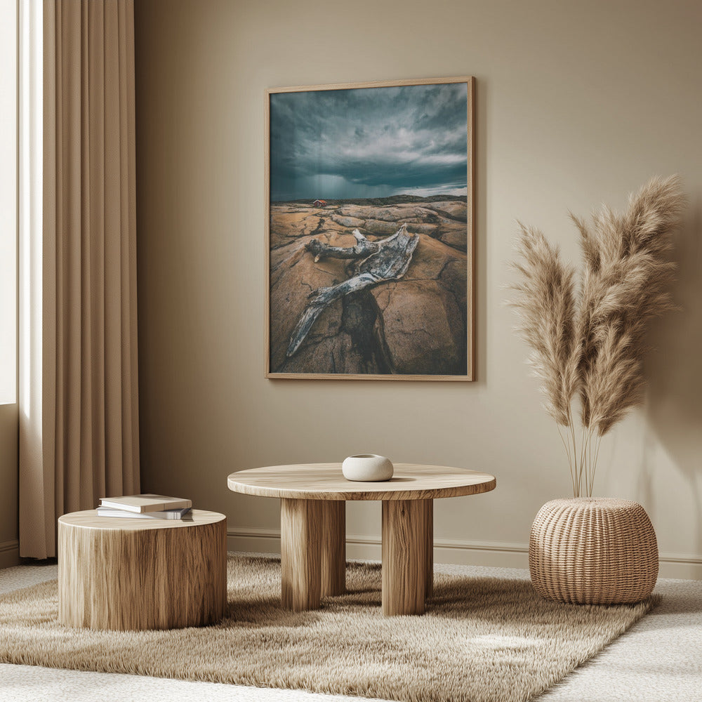 Drift wood | Poster