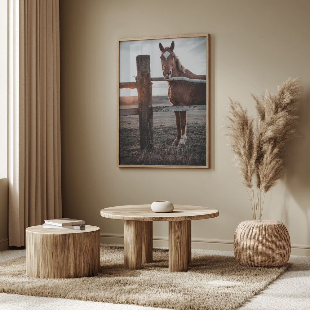 Horse Farm in Skároš, Slovakia | Poster