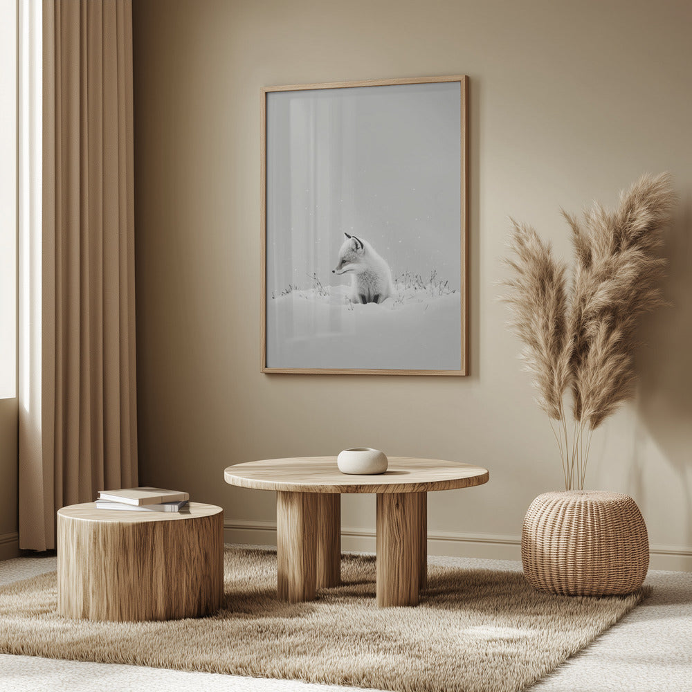 Winter Fox&#039;s Gaze | Poster
