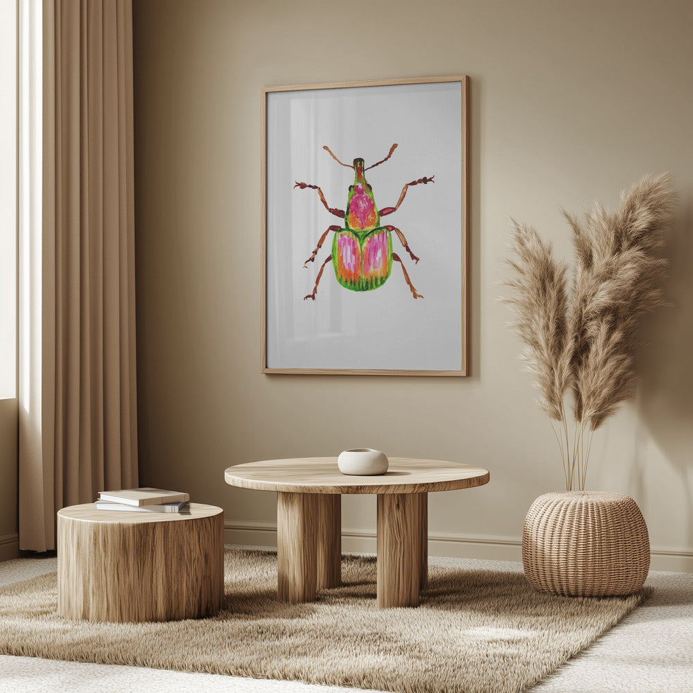 Apricot weevil or Epirhynchites auratus | Poster