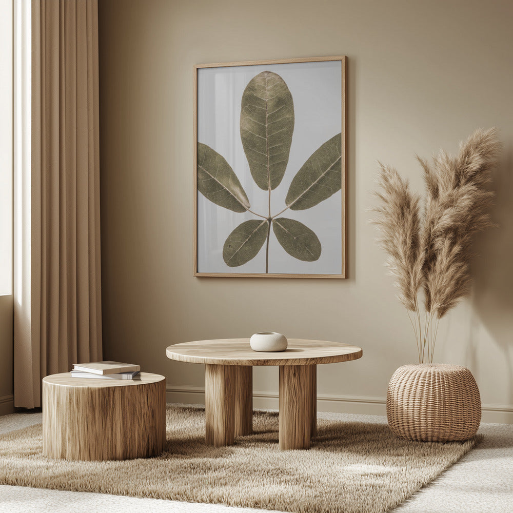 Herbstblatt | Poster